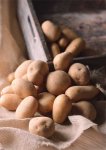 Уборка и хранение картофеля