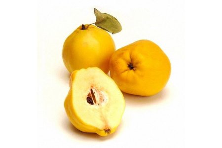 Айва обыкновенная или продолговатая (Cydonia oblonga)