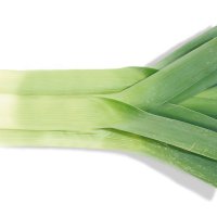 Лук-порей (Allium porrum)