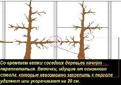 Со временем начнут переплетаться
