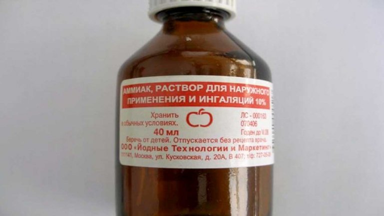 Нашатырный спирт — паутинный клещ на комнатных растениях
