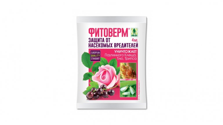 Фитоверм от паутинного клеща на комнатных растениях