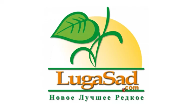 Интернет-проект LugaSad