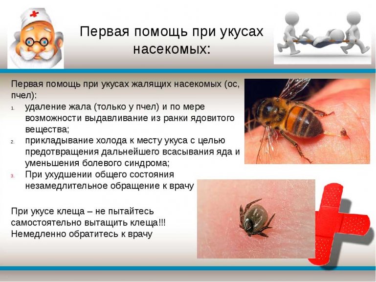 первая помощь при укусах насекомых